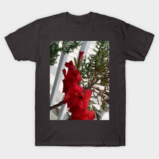 Gladiolus T-Shirt by Amanda1775